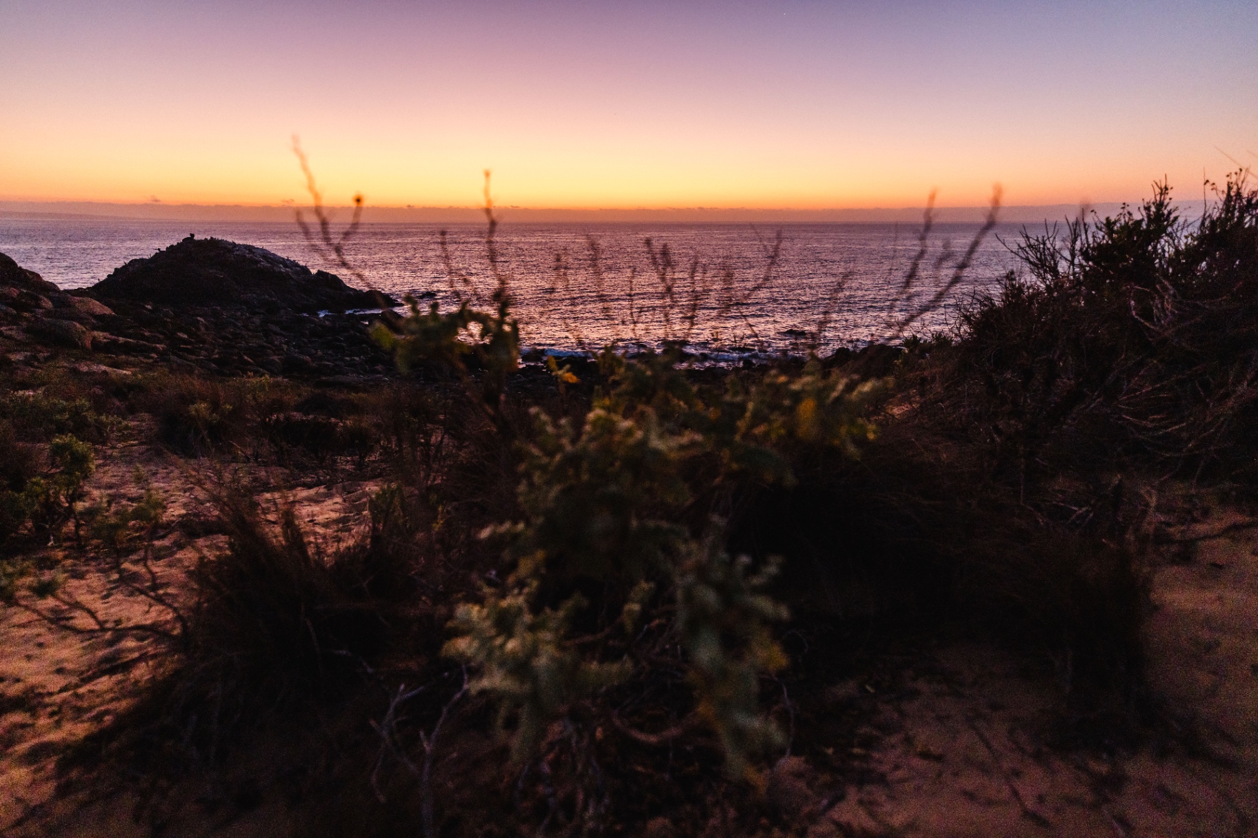 Crepúsculo en la costa
