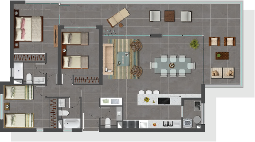 Planta C